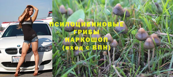 стаф Алексин