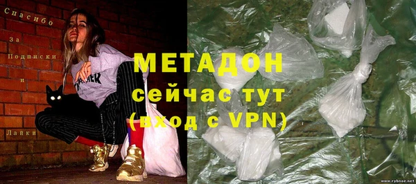стаф Алексин