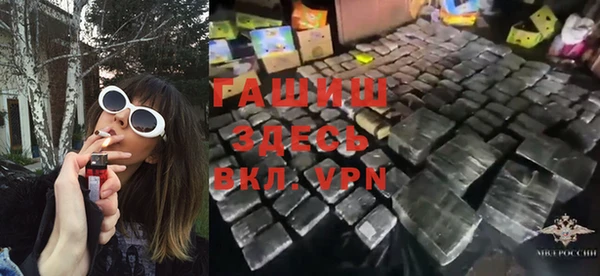 стаф Алексин