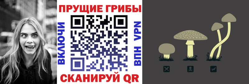 Псилоцибиновые грибы Cubensis  где купить наркотик  Чайковский 